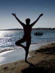 Vinyasa Krama yoga