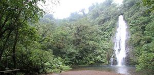 El Silencio Waterfall at Anamaya Resort