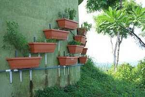 Vertical Garden Costa Rica