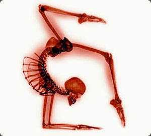 Yoga Retreat Health Skeleton