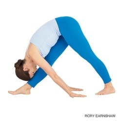 HP Parsvottasana at Anamaya Resort