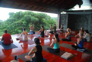 Yoga Anamaya