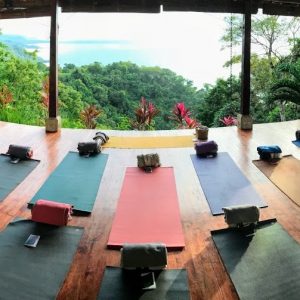 Cristiane Link at Anamaya Resort