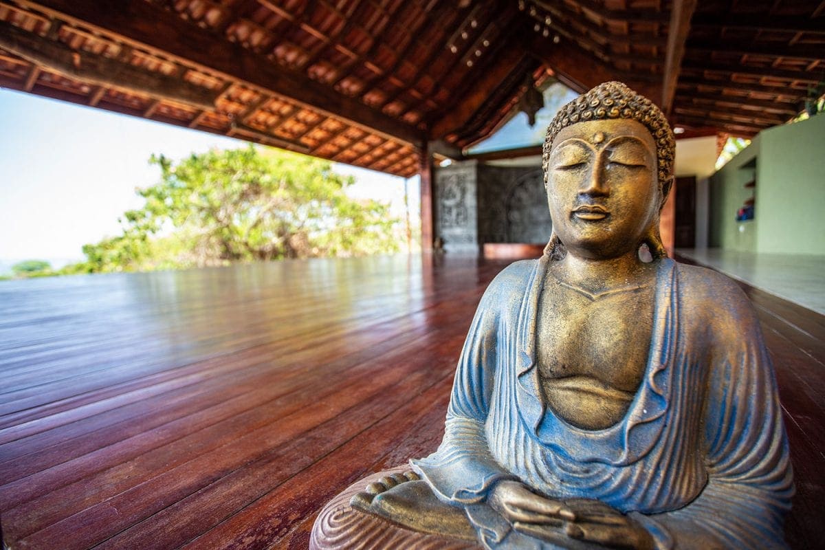 Anamaya Resort newsletter signup
