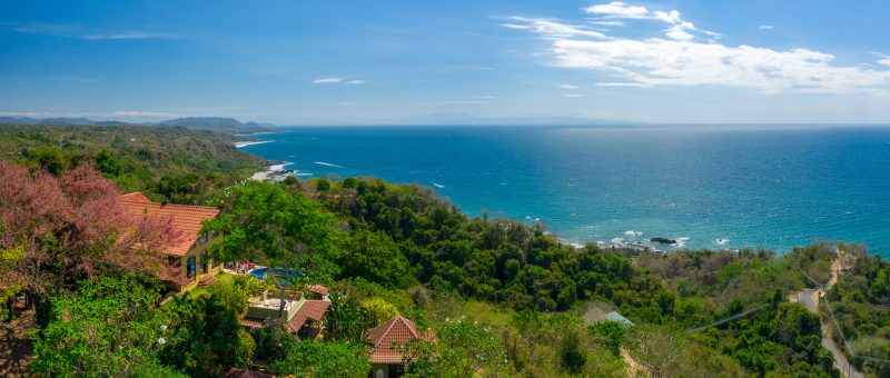 Jungle, Ocean view